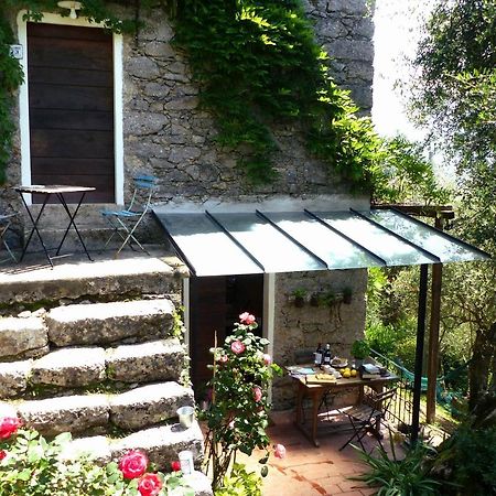 Il Giaggiolo Villa Camaiore Exterior photo