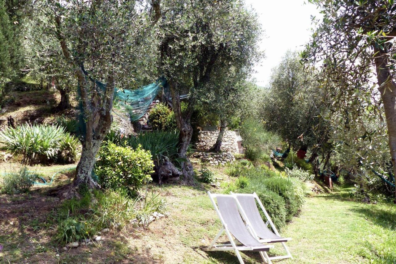 Il Giaggiolo Villa Camaiore Exterior photo