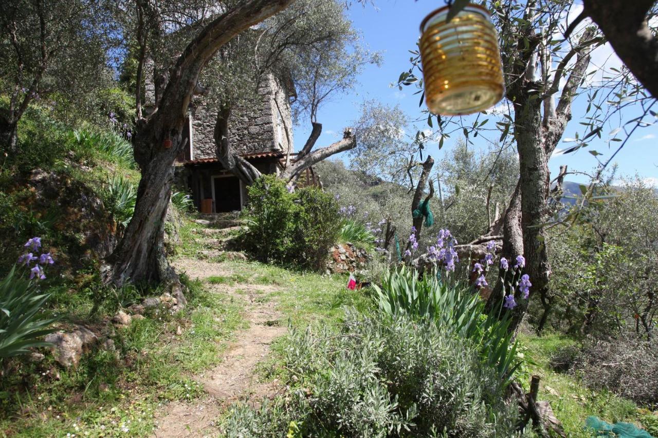 Il Giaggiolo Villa Camaiore Exterior photo